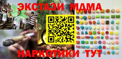 сатива Гай