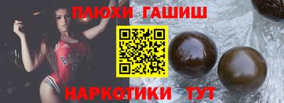 сатива Гай