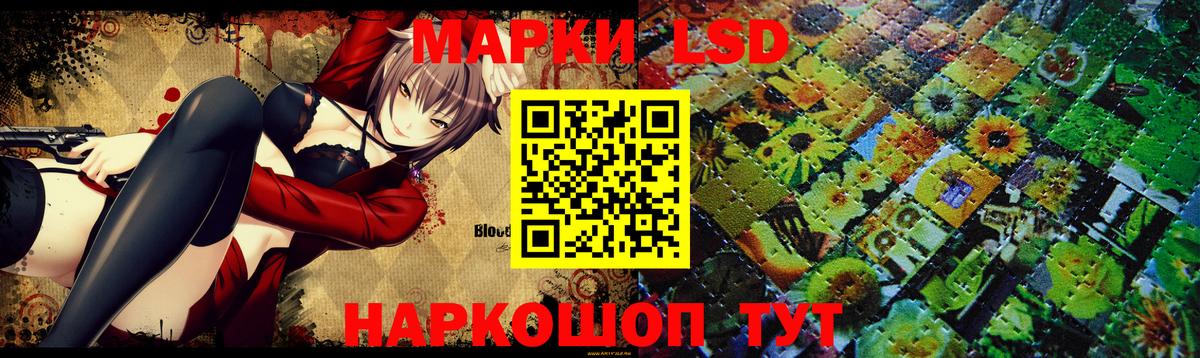 ЛСД экстази  Вход с VPN  Майкоп  Лсд 25 экстази кислота 