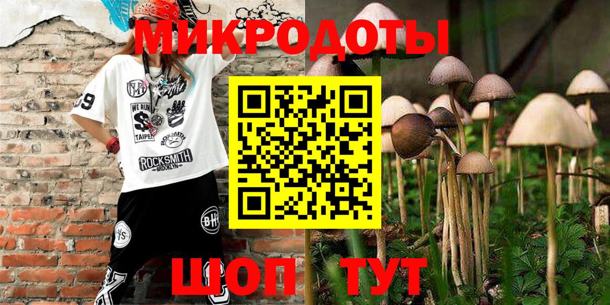 Галлюциногенные грибы Cubensis Майкоп